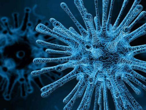 COVID-19 Focus Accountants Update